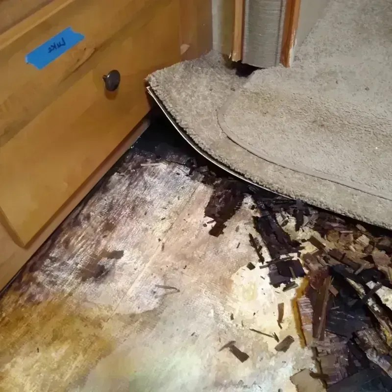 Wood Floor Water Damage in Rainbow City, AL